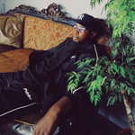 Black Shadow Windbreaker Pants